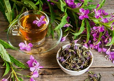 Иван чай полезные свойства и противопоказания 
